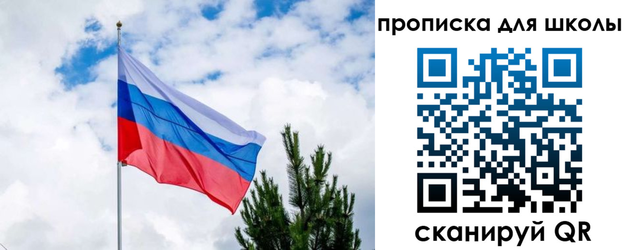 временная регистрация недорого в Невеле