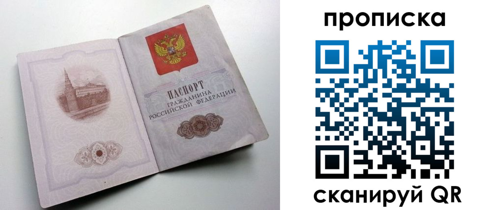 прописка иностранных граждан в Невеле